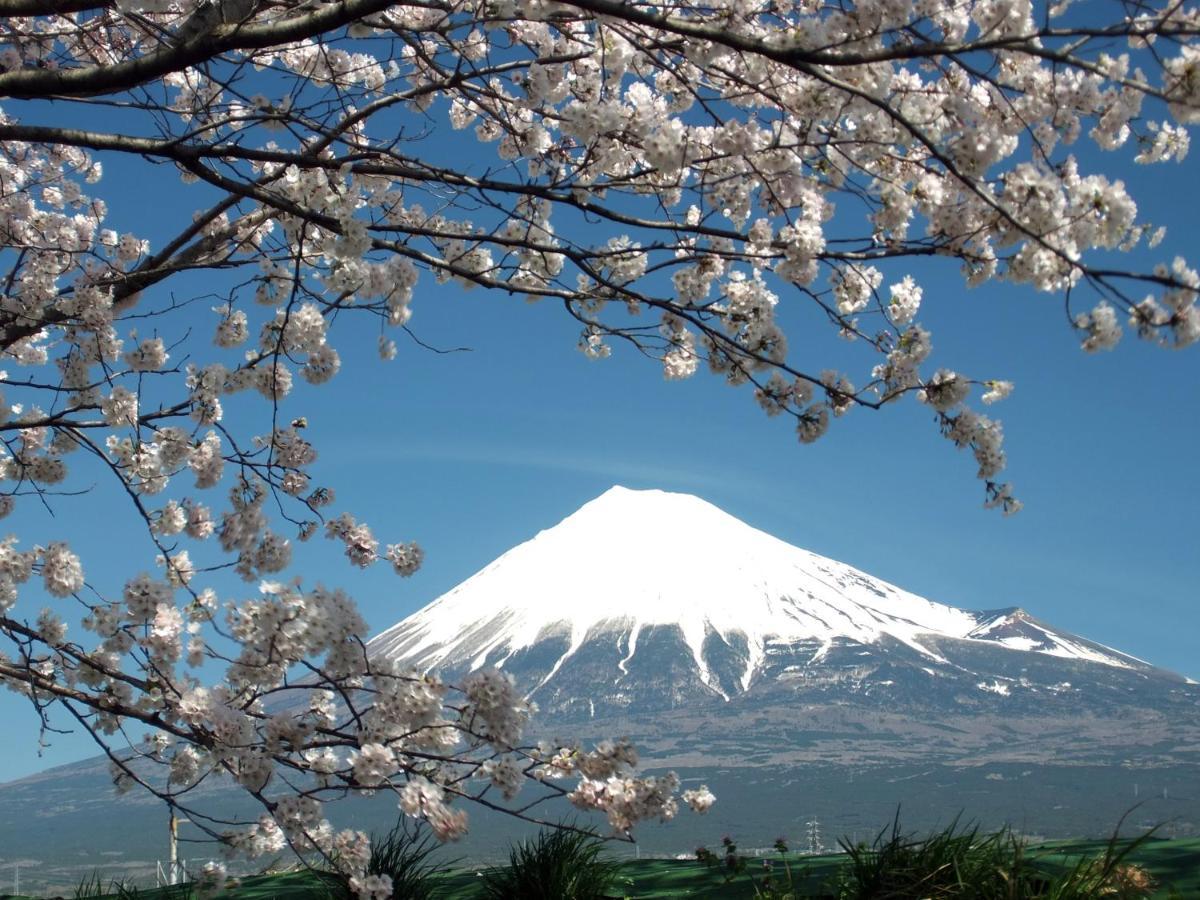 Fuji-Shi Business Hotel Furuiya Ryokan Фудзи Экстерьер фото